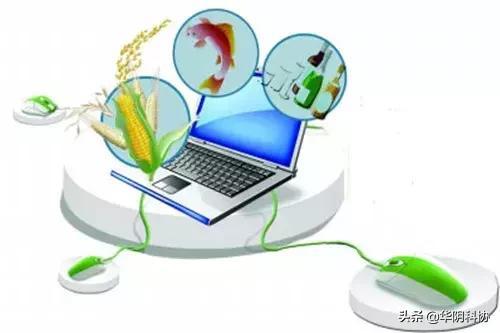 網(wǎng)絡(luò)技術(shù)賦能農(nóng)民 機(jī)遇與挑戰(zhàn)